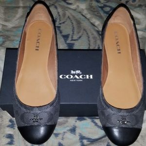 Coach chelsea outline sig c/clf size 8.5M
